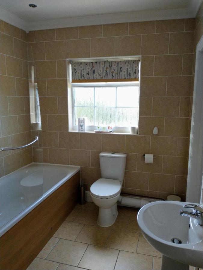 فندق Llanina Arms Llanarth  المظهر الخارجي الصورة